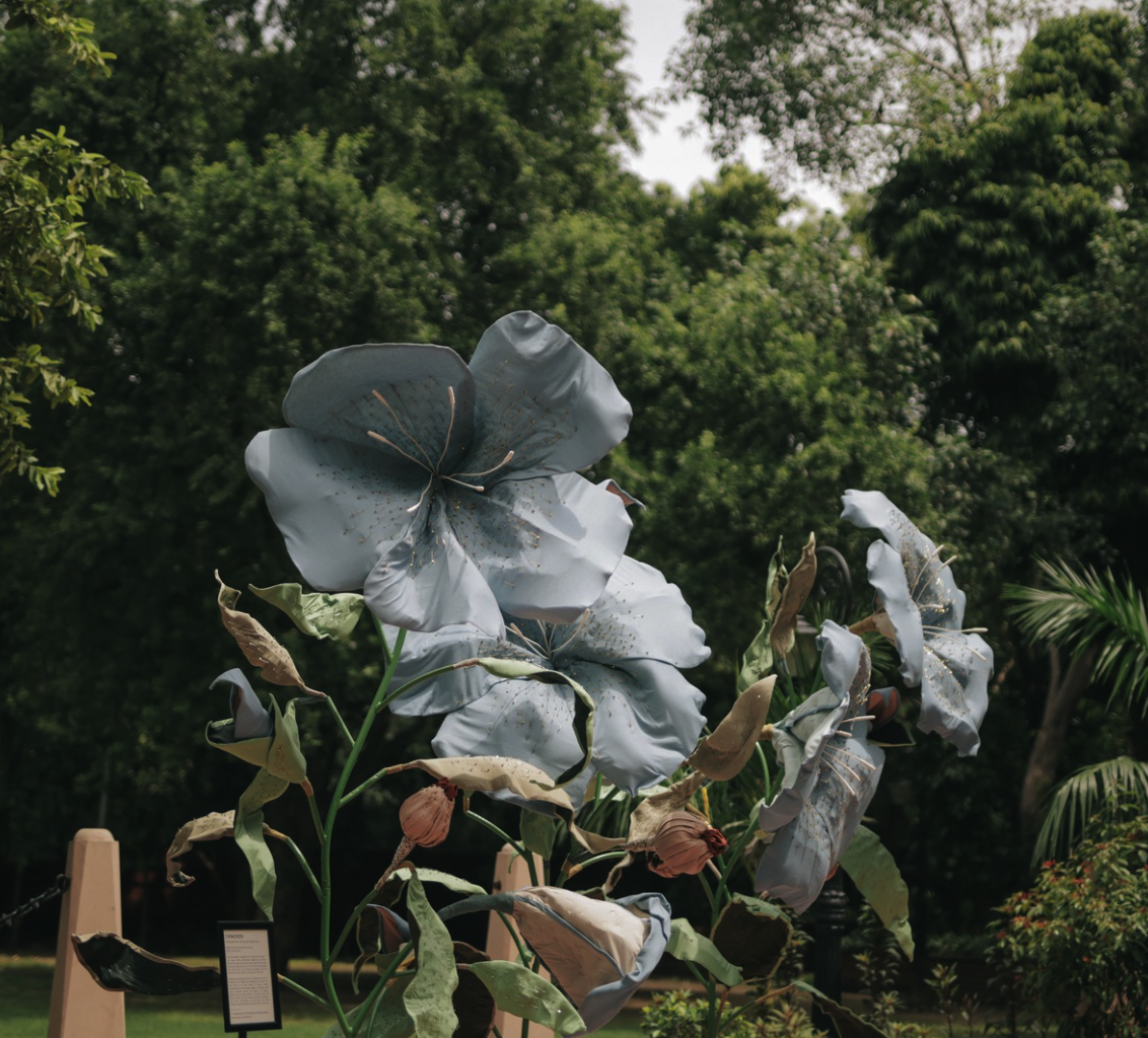 Screenshot 2025-09-11 at 3.14.05 PM